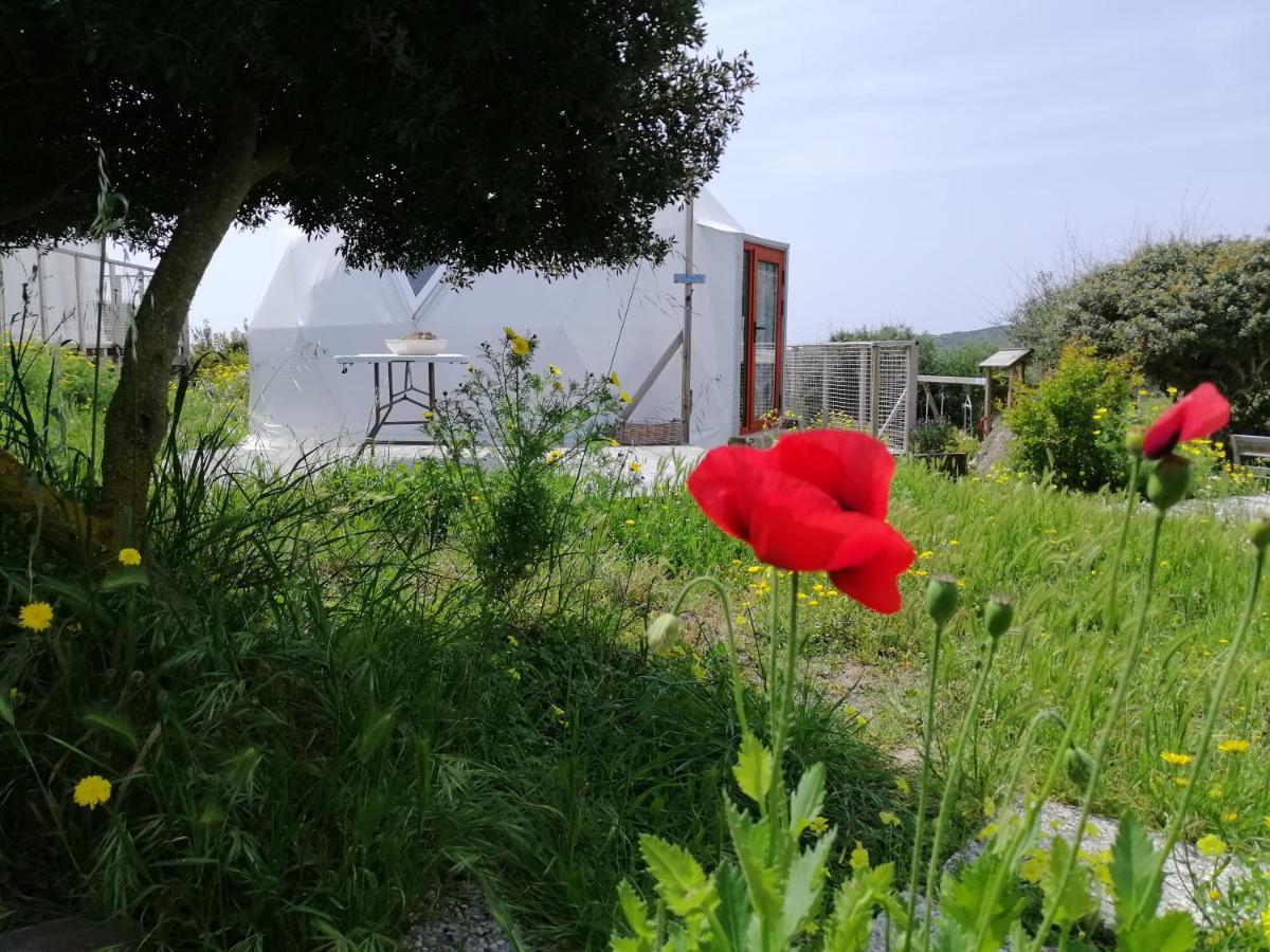 B&B Glamping Semaforo Capo Sperone Sant'Antioco Exterior foto
